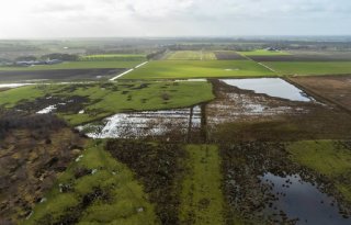 Meetpilot emissies stikstof bij natuurgebied Liefstinghsbroek bijna af