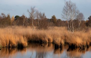 Argwaan boeren over pilot grondruil de Peel