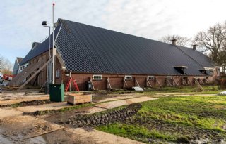 Maatwerkregeling moet Groningse aardbevingsboeren helpen met bedrijfsontwikkeling