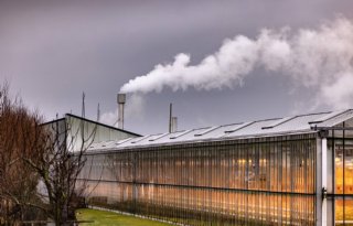 Glastuinbouw Nederland wijst op bijna sluiten TEK-regeling