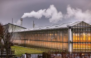 Vertrouwen boeren en tuinders afgenomen in laatste kwartaal 2023