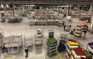 Productomzet Plantion daalt door minder aanbod en kleinere volumes