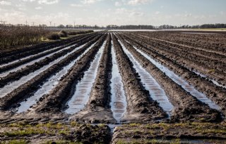 Meer onderzoek naar afspoeling in Flevoland, Groningen en Drenthe