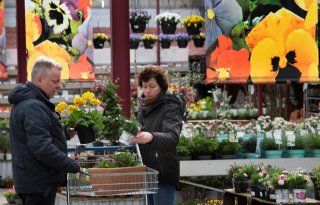 Geen verboden residu op Nederlandse planten in tuincentra