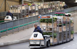 FloraHolland start half november met samenvoegen rozenklokken