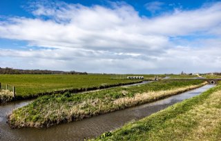 Boosheid om 'cursus boertje pesten' in Noord-Holland