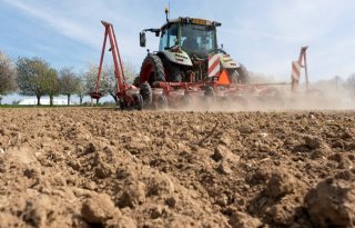 Ruim de helft van het suikerbietenzaad zit in de grond