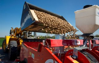 Helft van aardappelen België moet nog de grond in