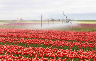 Meer budget voor energiezuinige technieken