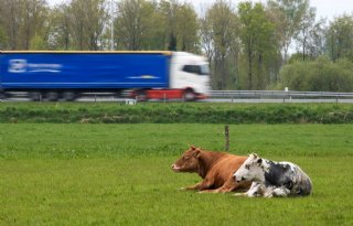 Nieuwe versie Aerius op komst, nieuwe aanvragers aangeraden te wachten