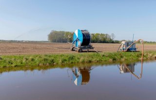 Water in Friese en Groningse sloten zouter dan gedacht