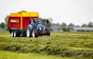 Droge zomer van 2022 zorgt voor groter stikstofoverschot