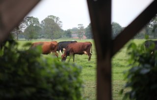 Gelderland wacht niet op Rijk en trekt zelf extra geld uit voor ANLb