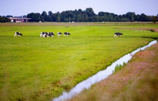 10 miljard euro nodig voor Vitaal Landelijk Gebied Gelderland