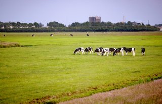 Gelderland wil vergunning voor PAS-melders gratis maken