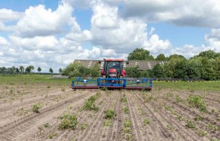 WUR: er zijn te weinig alternatieven voor glyfosaat