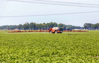 Taskforce pleit voor adequate aanpak phytophthora