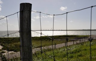 Zeeland uit twijfels over plan voor aanpak landelijk gebied