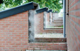 Ventilator zorgt voor tien dagen minder hittestress bij kraamzeugen