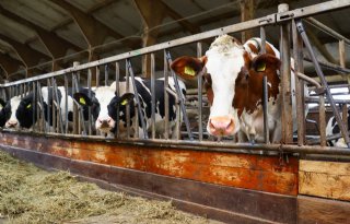 WUR: financiële gevolgen van verduurzaming zijn groot, hulp van overheid is nodig