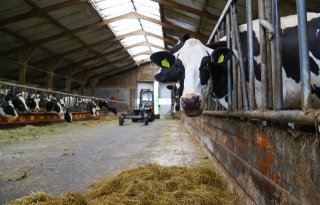 Dutch Dairy Challenge: van innovatief idee naar realiseerbaar plan