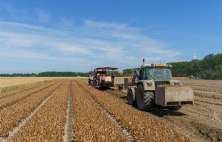 Pilot Zuid-Hollandse telers voor schoner water