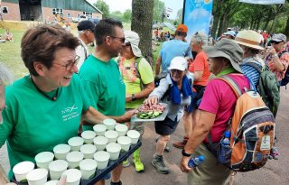 Boeren verdienen aan groene Vierdaagsefeesten