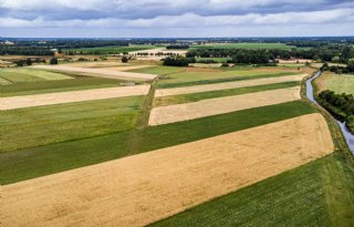 Goed jaar 2022 en inflatie stuwen pachtnormen op