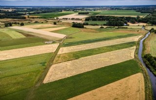 Nota Ruimte: zorgvuldig omgaan met landbouwgrond om sector te behouden