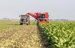 Akkerbouwer moet koe bij de horens vatten