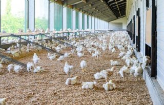 Beter Leven onder vuur, Dierenbescherming 'niet verrast'