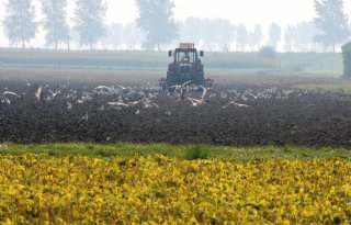 Zeeuwse gedeputeerde na wisselpolderophef: 'We gaan geen boeren wegjagen'