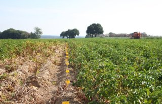 Stresstest moet teler bewust maken van urgentie klimaatverandering