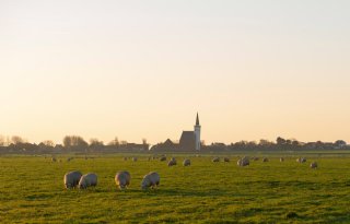 Pilot moet PAS-melders op Texel aan een oplossing helpen