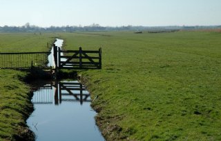 CDA Noord-Holland blijft tegenover GS om subsidies agrarisch natuurbeheer