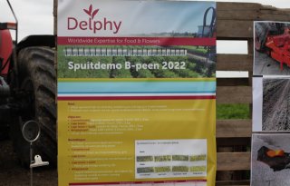 Delphy breidt uit naar Verenigde Staten