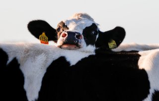 Snel ziekteverwekkers identificeren met PathoSense