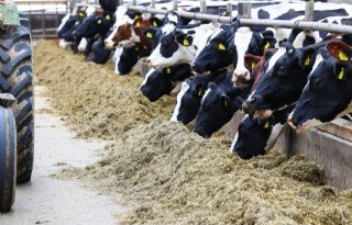 Miljoenen Europees geld beschikbaar voor zes gebieden in Gelderland