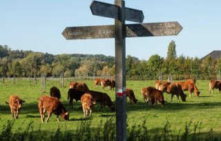 Natuur wordt rechtspersoon in Eijsden-Margraten