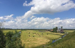 Glastuinbouw Nederland eist ontwikkelingsmogelijkheden in Zuidplas