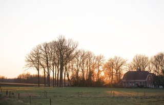 Nog geen geld naar provincies voor snelle start aanpak platteland