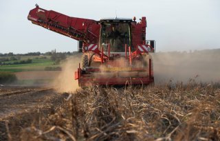 Eenmalige verlenging datum aardappeloogst op zand- en lössgrond