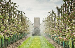 Kunstmatige intelligentie verandert fruitteelt