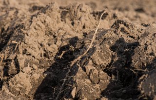 Boeren beloond voor veldmaatregelen in Sallandse GLB-pilot