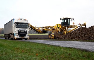 Belgische bietenverwerkers rekenen op fors lagere suikeropbrengst