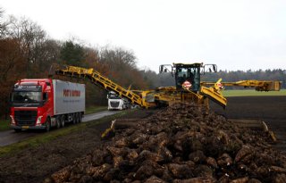 Ruim 60 procent van vorstbieten moet nog worden gerooid