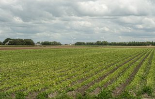 Gemiddelde agrarische grondprijs in derde kwartaal flink gestegen