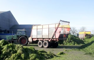 Regen en kou drukken productie groenvoederdrogerijen