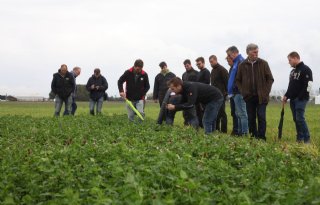 Akkerbouwers ruilen kunstmest in voor groenbemesters