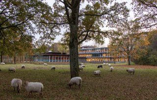 Drenthe maakt aanspraak op maximaal bedrag voor hulp aan PAS-melders